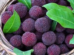 嘉弘塑料護目鏡專用PVC粒料，助力早日打贏疫情